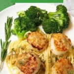 A white plate with scallops over a bed of spaghetti served with a side of steamed broccoli. A light lemon rosemary sauce is drizzled over top.