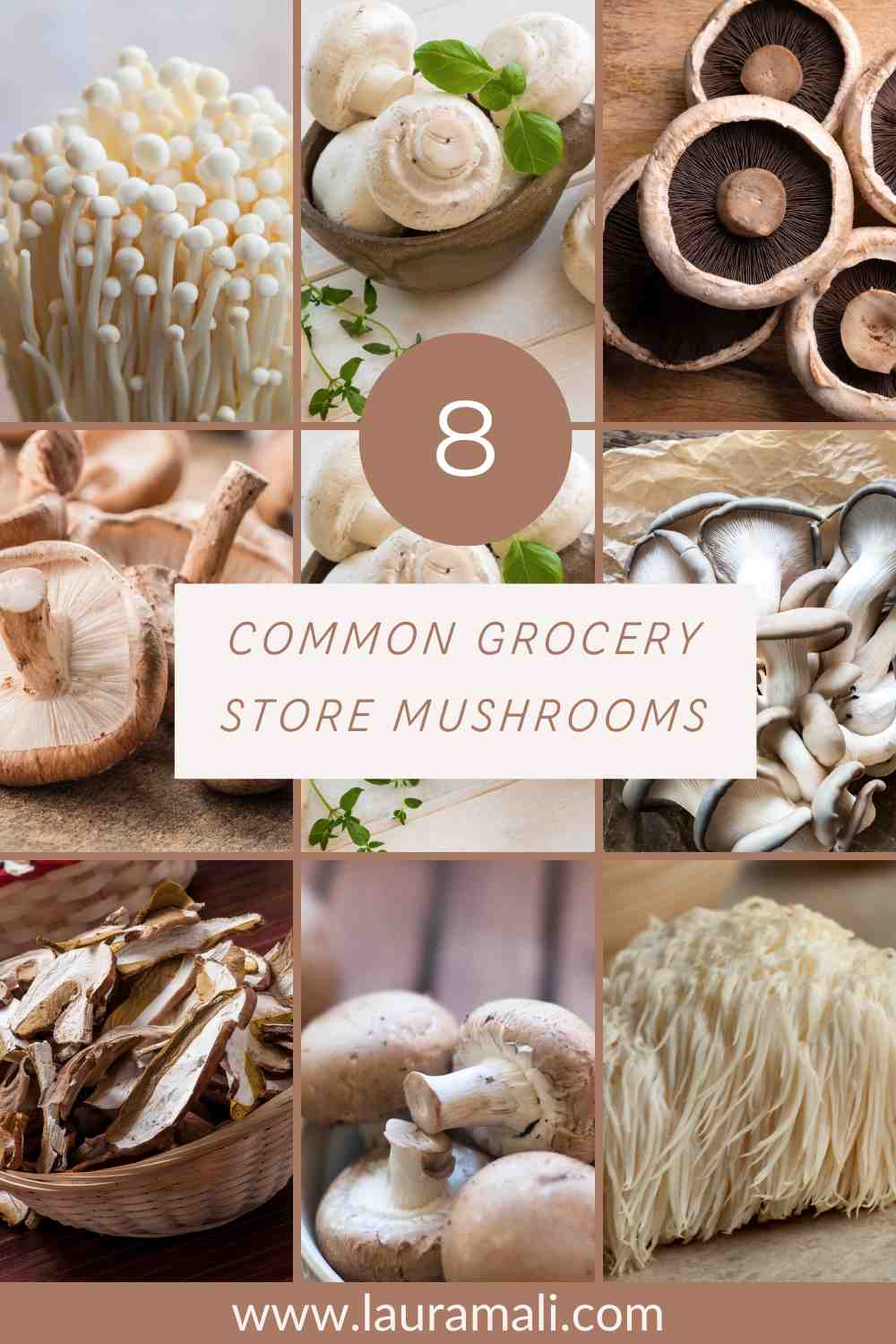 Eight Common Grocery Store Mushrooms and How to Use Them