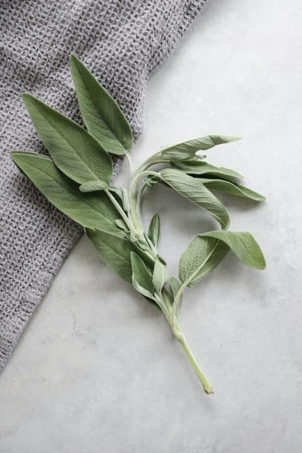 A stalk of fresh sage on a marble counter with a grey linen under the leaves.