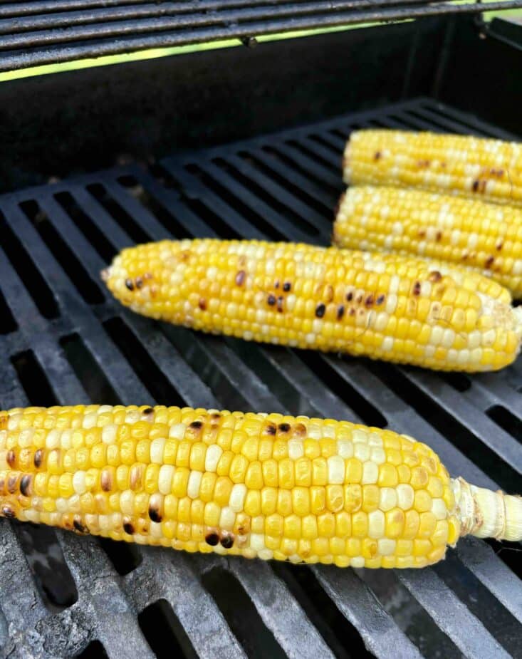 4 grilled corn on the cobs on a gas grill. The corn is lightly browned on all sides