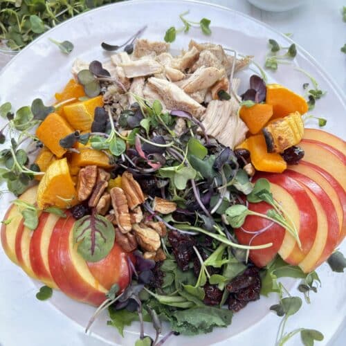 Fall grain bowl is in a white bowl on a marble counter top. Rainbow microgreens surround the bowl with a side of dressing in the background.