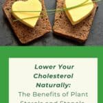 two pieces of whole grain bread, each topped with a heart shaped margarine and chives