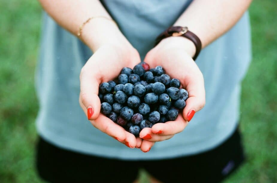 A women holding blueberries cupped in her hands in front of her