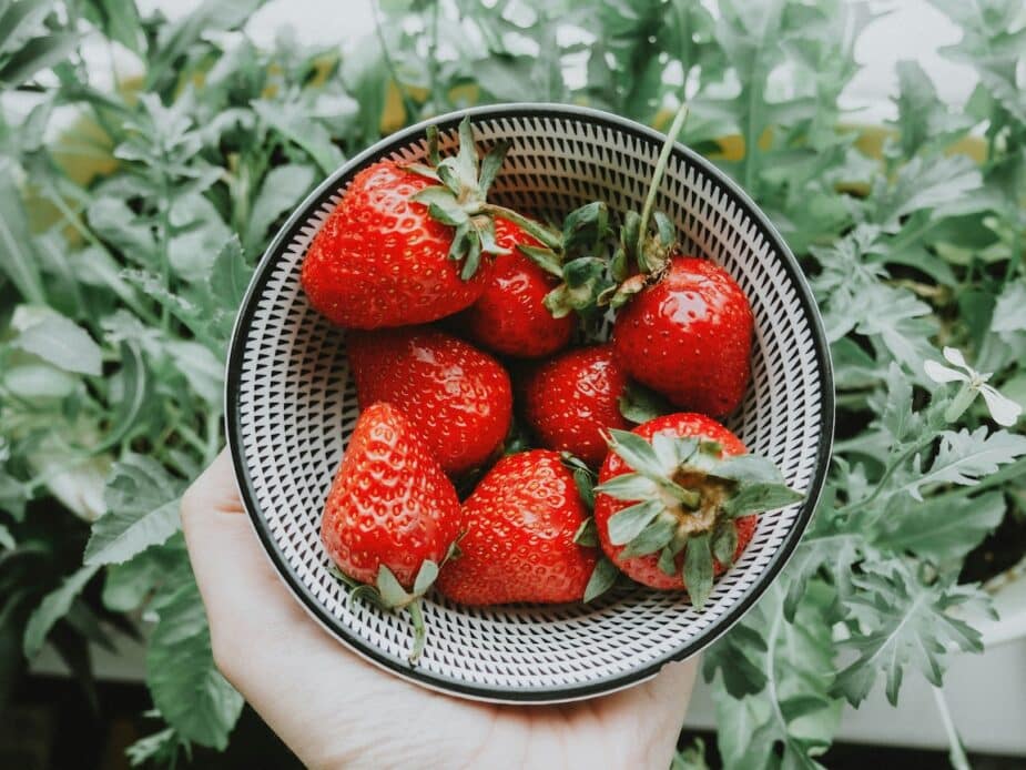 Strawberries in a black and white ceramic bowl held over greenery