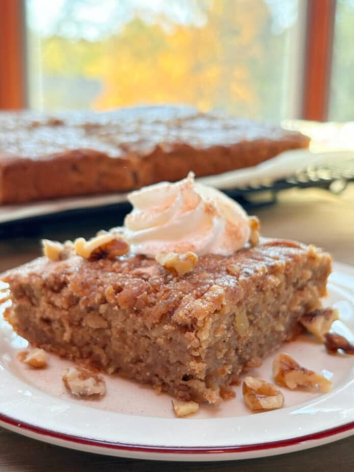 A piece of spiced apple cake in the foreground with the full cake on a wire rack in the back, overlooking a fall scene out the window.