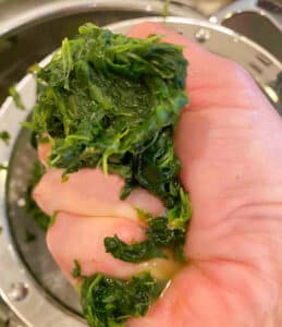 Squeezing chopped cooked spinach in a hand.